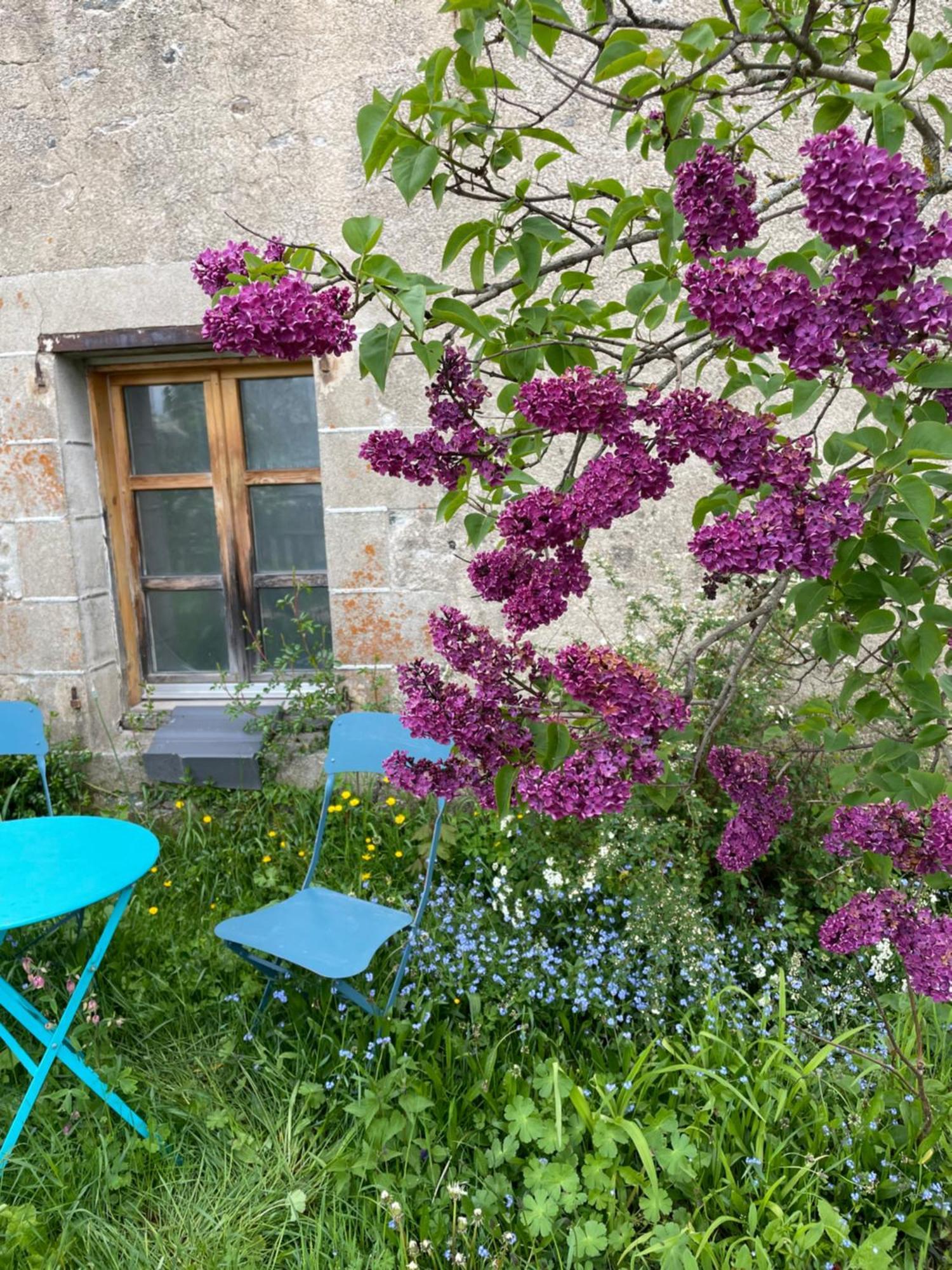 Chez Fabrice Bed & Breakfast Le Pertuis Eksteriør bilde